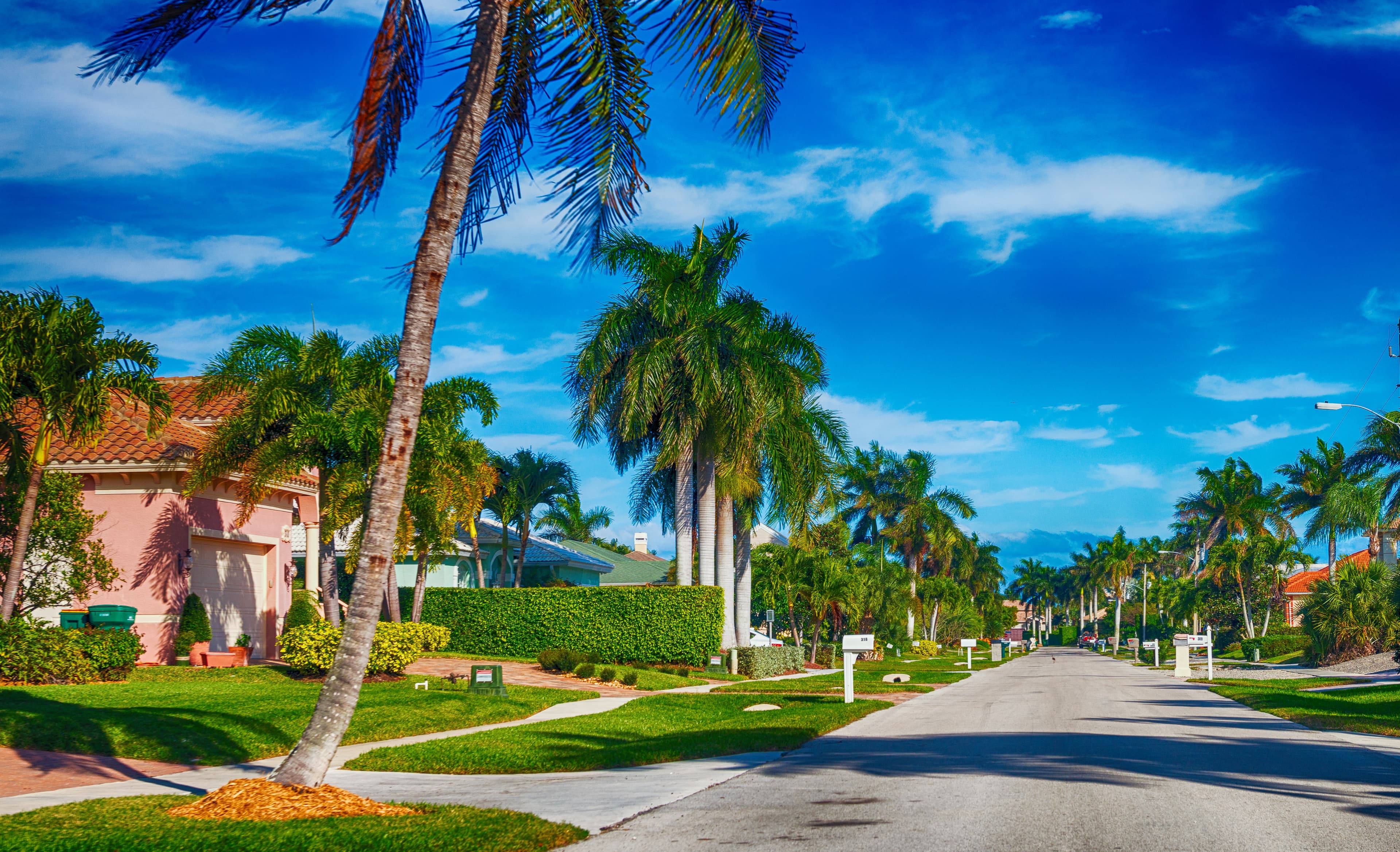 Miami area